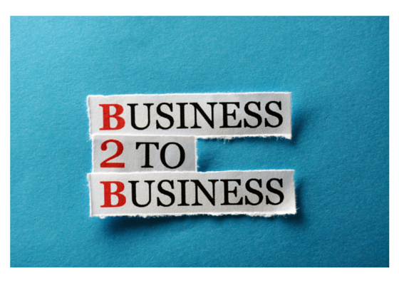 B2B Content Marketing in 2015 B2B Content Marketing in 2015